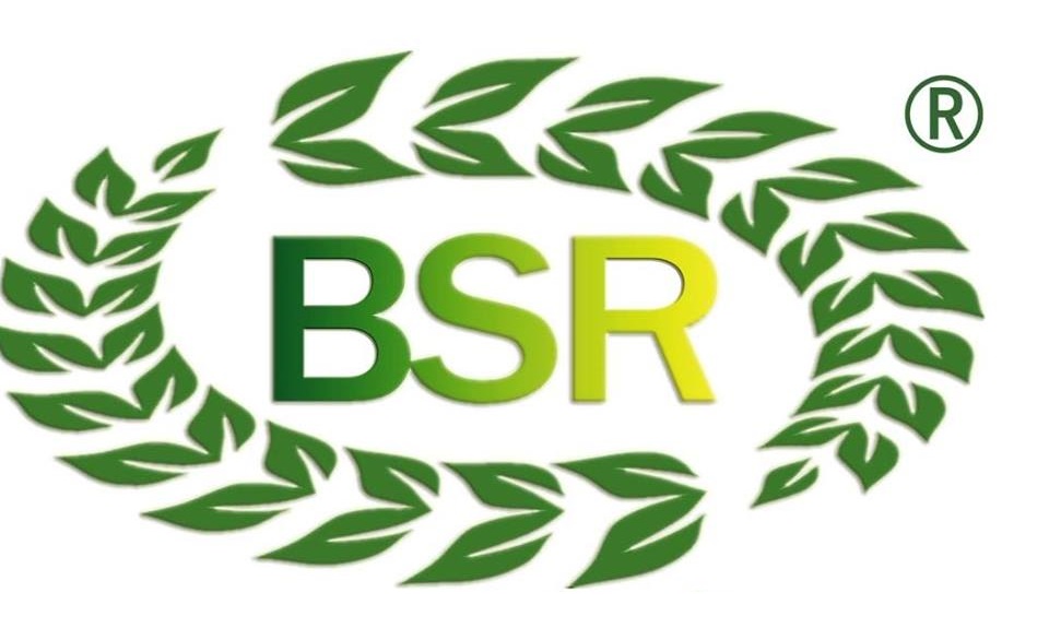 logo1